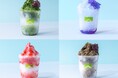 宇治抹茶、ほうじ茶焦がし、いちご練乳、レモンブルー。手作りクラフトみつで楽しむ新感覚かき氷、アトリエマッチャ鎌倉で 8/1(金)より販売開始。