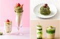 今年のテーマは宇治抹茶×いちご。ラテ、プリン、クレープが登場!MATCHAカルボナーラなどフードも一新。ATELIER MATCHAの秋冬メニュー10/10(金)より販売開始。