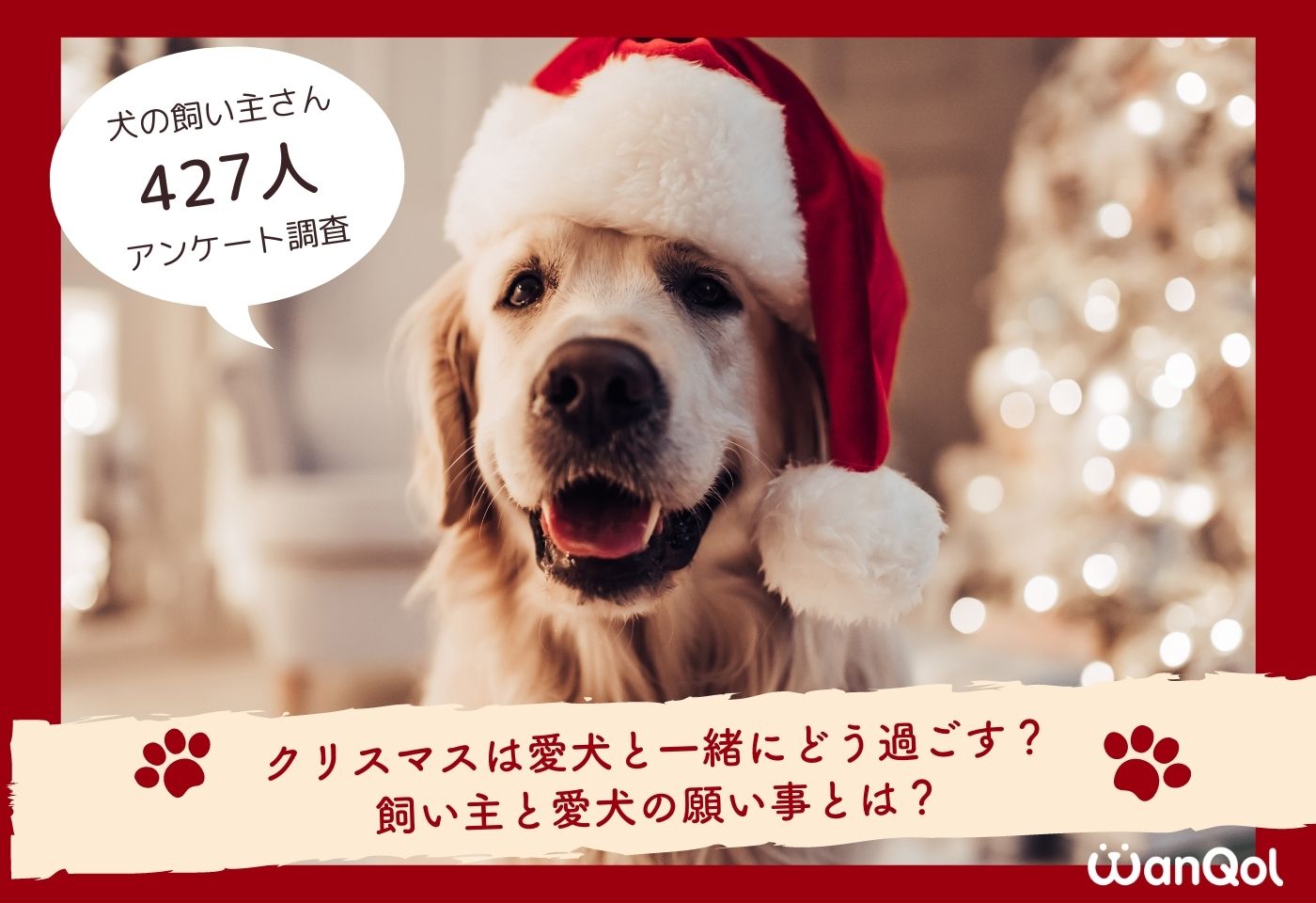 犬の飼い主に聞いた 愛犬とのクリスマスの過ごし方 を大調査 株式会社カインズのプレスリリース