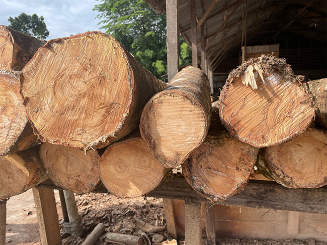素材はエコな木材ラバ―ウッドを使用