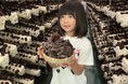 珍しい！オーガニックきくらげの収穫体験！受付開始！