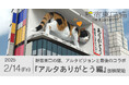 アルタビジョンありがとう!新宿東口の猫も、感謝のスリスリ。新作動画『アルタありがとう編』が、アルタビジョンとのシンクロ映像で2月14日(金)より放映開始
