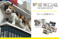 3D巨大猫が生誕4周年!「新宿東口の猫」のフレーム切手を、日本郵便株式会社が運営する「郵便局のネットショップ」にて2025年7月1日(火)に予約スタート!