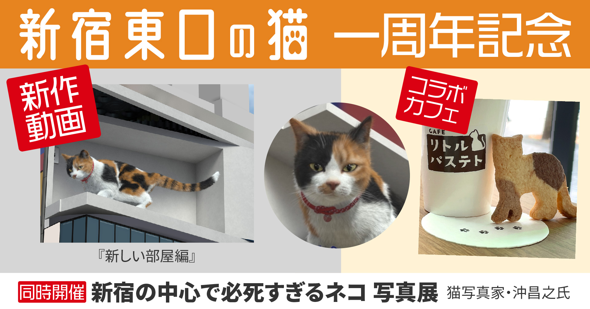 3d巨大猫 として世界に拡散した 新宿東口の猫 が 7 1で放映開始1周年 それに合わせ 新作3d動画とコラボカフェをスタート 株式会社クロススペースのプレスリリース