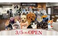 総合ペット専門店 NICO PET寝屋川店をオープン