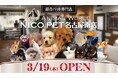 総合ペット専門店 NICO PET名古屋南店をオープン