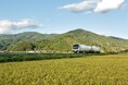 <大船渡線開業100周年&大船渡復興支援企画>観光列車「ひなび(陽旅)」で行く!大船渡線魅力再発見の旅を実施します!