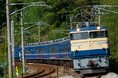「ELぐんまきりゅう」「SL大樹」にダブル乗車 レトロな列車を満喫する旅