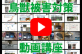 超実践型『鳥獣被害対策 動画講座』がスタート!誰でも取り組める、実践的で効果的な鳥獣被害対策のノウハウを完全無料でご提供!