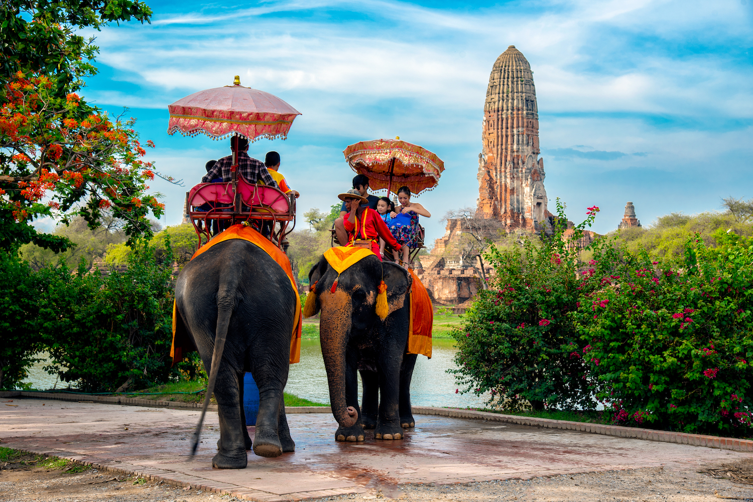 タイの世界遺産アユタヤ名物 象乗り がコロナ禍で存続危機に 象の保護施設を応援するクラウドファンディング開始 Zenes ゼネス 新しい旅と体験が見つかるクラウドファンディングのプレスリリース