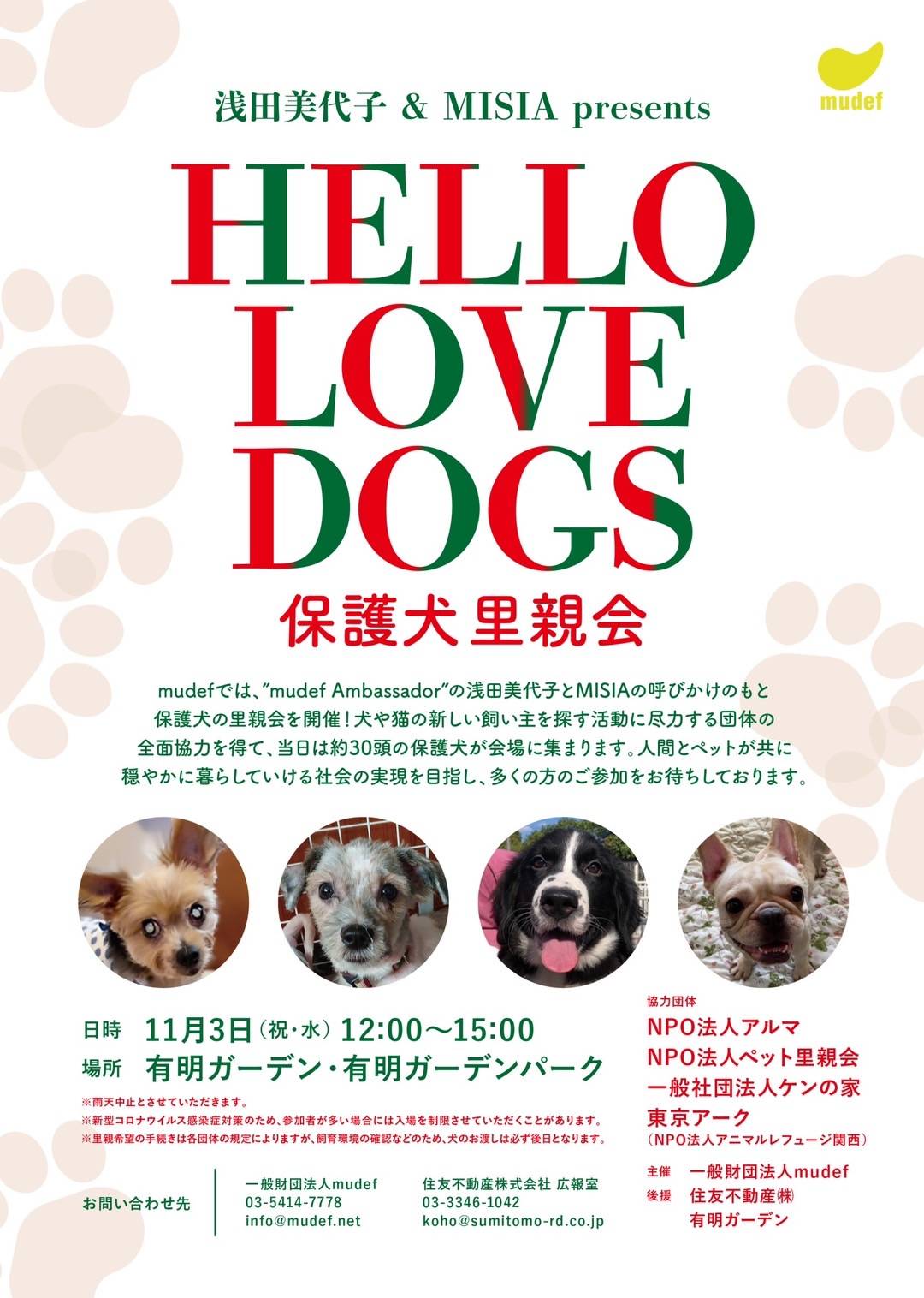 横浜市の ちっちゃな 保護犬支援団体ケンの家 は 浅田美代子 Misia Presents Hello Love Dogs 保護犬 里親会 に参加します 一般社団法人ケンの家のプレスリリース