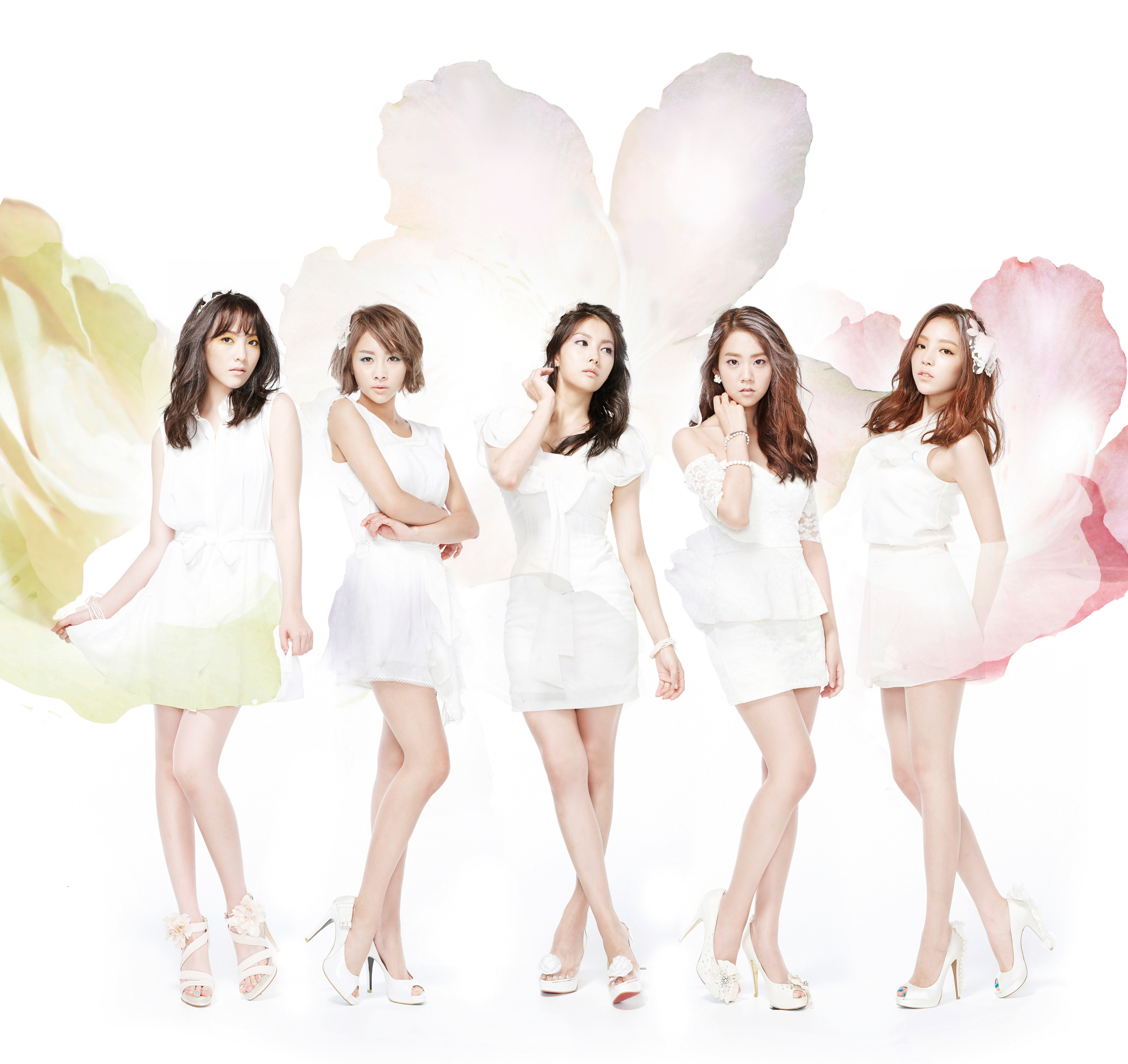 KARA 2nd JAPAN TOUR 2013 『KARASIA』 11月24日（日）ツアー