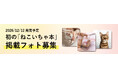 あなたの愛猫が本に載るかも！「ねこ愛」あふれる写真を9月6日まで募集中。みんなの「ねこ愛」を集めた『ねこいちゃ本（仮）』を12月12日に発売！売上の一部は保護猫活動へ。