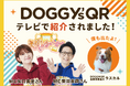 【テレビ出演】DOGGY'sQRがTOKYO MX「ええじゃないか!!」で紹介されました! - 記念セール開催中