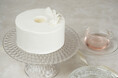 【新登場】手作りシフォンケーキ専門店 This is CHIFFON CAKE. より「Angel」<エンゼル> が発売!