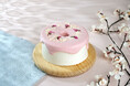 【新登場】手作りシフォンケーキ専門店This is CHIFFON CAKE. は、ミルクと桜の上品な香りを楽しむ春限定シフォンケーキ『SAKURA』<サクラ>を発売いたします。