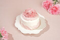 【新登場】手作りシフォンケーキ専門店 This is CHIFFON CAKE. から、お母さんへの感謝の気持ちを込めて“ときめき”を届けるシフォンケーキが登場!