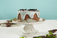 【新発売】手作りシフォンケーキ専門店 This is CHIFFON CAKE. から、ひと口で広がるチョコレートとミントの誘惑『チョコミントシフォン』が登場!