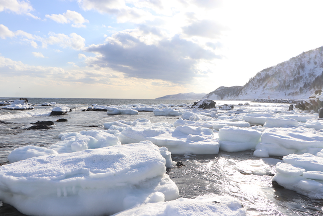 流氷は1月下旬頃にやってきて、2月には知床半島のまわりを埋め尽くす。しかしこの流氷も地球温暖化の影響を受け減少傾向にある。