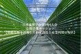 【微細藻類を活用した価値創造と産業利用の現状】日本藻類学会第49回大会にて公開企業セッションを行います。
