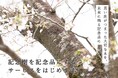 大切な木から記念品製作サービス「tree timeless」を提供開始