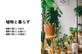 都市部特化型のオーダーリノベーションサービス「マイリノ」、「植物と暮らす」をテーマにしたセミナーを開催!
