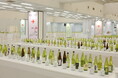 全国約1,200銘柄が集結した日本最大級の日本酒イベント『日本酒フェア 2026』大好評につきチケット完売御礼！大盛況にて閉幕