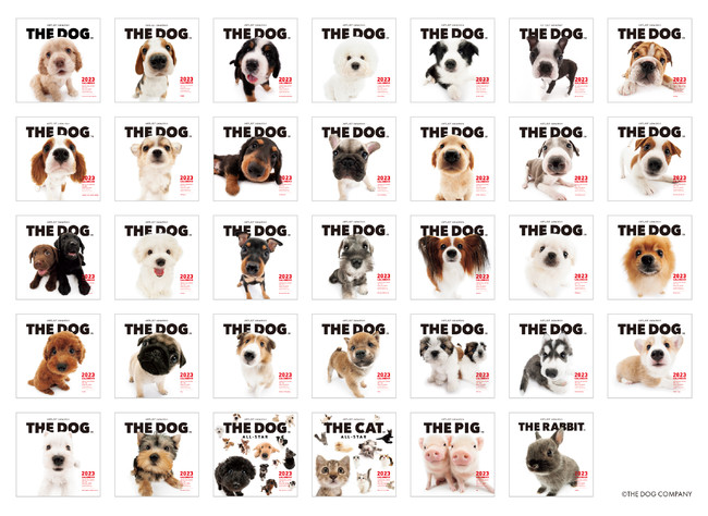 ロングセラー商品「THE DOG™」2023年犬種別カレンダー 公式WEBストア「THE DOG STORE」にて8/9予約受付開始 ｜THE DOG  COMPANYのプレスリリース