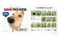 保護犬たちの笑顔が集まる『SAVE THE DOG 2025カレンダー』受注開始