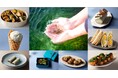 食欲の秋、食を通じて地球の未来を考える。「海藻」を使用した新たな食文化を日本橋三越本店がご提案