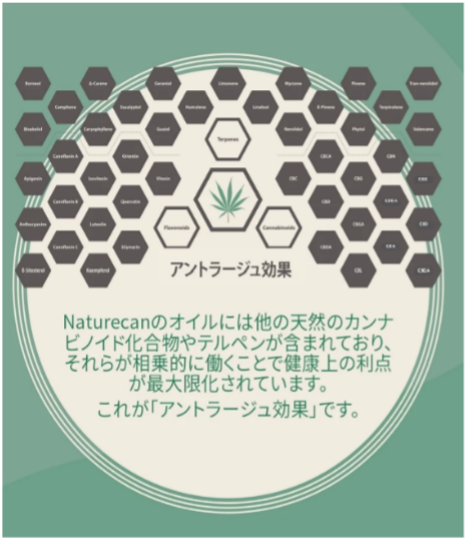 【日本初】CBN(カンナビノール)オイルが Naturecan（ネイチャー