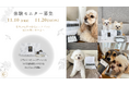 ツバメの巣のペットケアブランド「MIRANEST」がモニター募集開始!