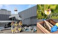 SDGsを学ぶ “都市養蜂見学ツアー” 4月1日より開催