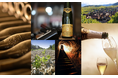 フランスが誇る3つの名門ワイナリーが揃い踏み「Pol Roger」「Famille Hugel」「Château de Beaucastel」の生産者を招聘したフランス銘醸地ワインディナー