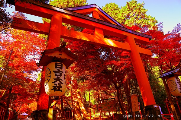 日吉大社 山王鳥居