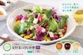老舗らーめん店「銀座直久」より、彩り豊かな夏野菜と3種のドレッシングで楽しむ「こだわり夏野菜冷し中華」を2026年6月1日（月）より期間限定販売。