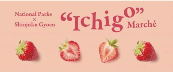 ホワイトデー直前特別イベント 国立公園近隣のいちごが集まる 新宿御苑 でいちごマルシェを開催 いちごの食べ比べ アフタヌーンティーなど 株式会社アクティビティジャパンのプレスリリース