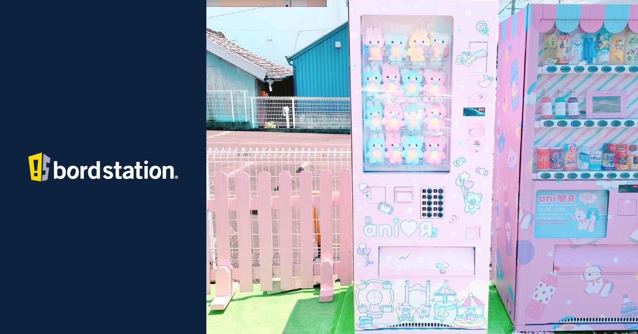 愛知県名古屋市緑区の Ani Ya ぬいぐるみやクッキーが購入できる自販機を設置 看板型デザイン自動販売機 ボードステーション 株式会社mjeの プレスリリース