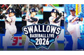 【フジテレビ】『SWALLOWS CAMP L!VE 2026』『SWALLOWS BASEBALL L!VE 2026』２月１日（日）10時30分～FOD＆CSフジテレビONEでLIVE配信・生中継