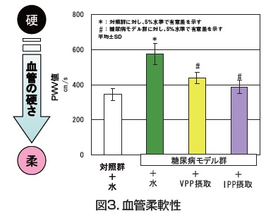 図3．血管柔軟性