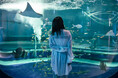 神戸の観光スポットを周り尽くそう!神戸ポートタワーと水族館アトアの入場がセットになった周遊チケットの販売開始が決定!