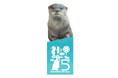 【神戸の港の水族館「アトア」５周年企画】限定500枚！大人気のコツメカワウソが顔を覗かせる限定デザイン「アトア5周年記念チケット」を販売します