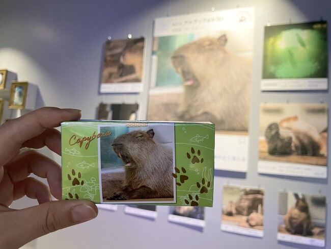 第2回フォトコンの受賞作品と黒糖キャラメル 第2回フォトコンの受賞作品と黒糖キャラメル