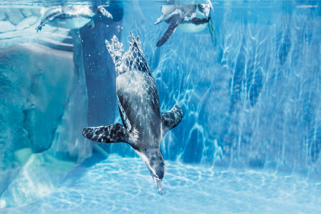 作品名:誰よりも深く、受賞者:のんの さん 作品名:誰よりも深く、受賞者:のんの さん