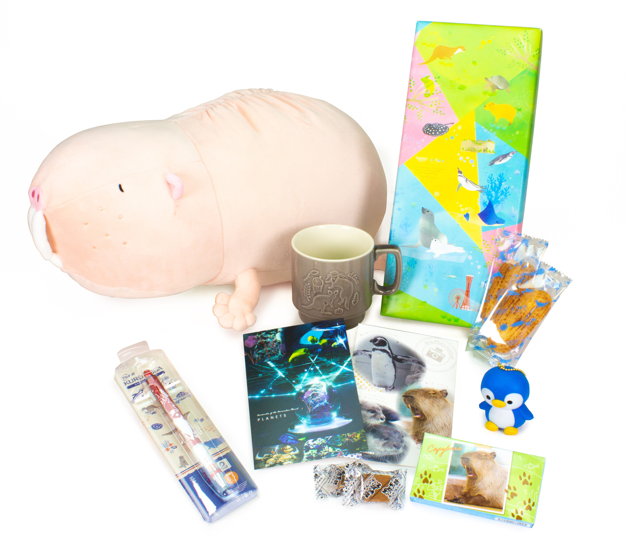 ゆるかわハダカデバネズミ2023年新春福袋を販売します！神戸の港 