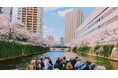 【2026年お花見】目黒川の桜を「水上の特等席」で。グッドデザイン賞受賞船でのBARクルーズや貸切プランが登場｜予約受付開始