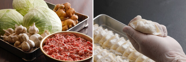 厳選した国産豚肉と国産野菜を使用/熟練した技術で餃子をつくります 厳選した国産豚肉と国産野菜を使用/熟練した技術で餃子をつくります