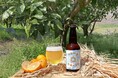 循環する未来のために、今できる乾杯を。TOWN CRAFT -まちの未来を考えるビール- / YUKOH SAISON 2025年5月16日発売