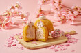 【UNI DONUTS】SNS投票で1位に輝いた春のフレーバー〈桜餅〉が、3月27日（金）より登場