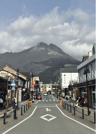 国内外様々